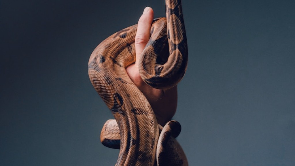 Micro Bit Python Snake