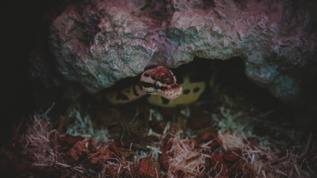 Can A Rattlesnake Release Venom On Multiplebited